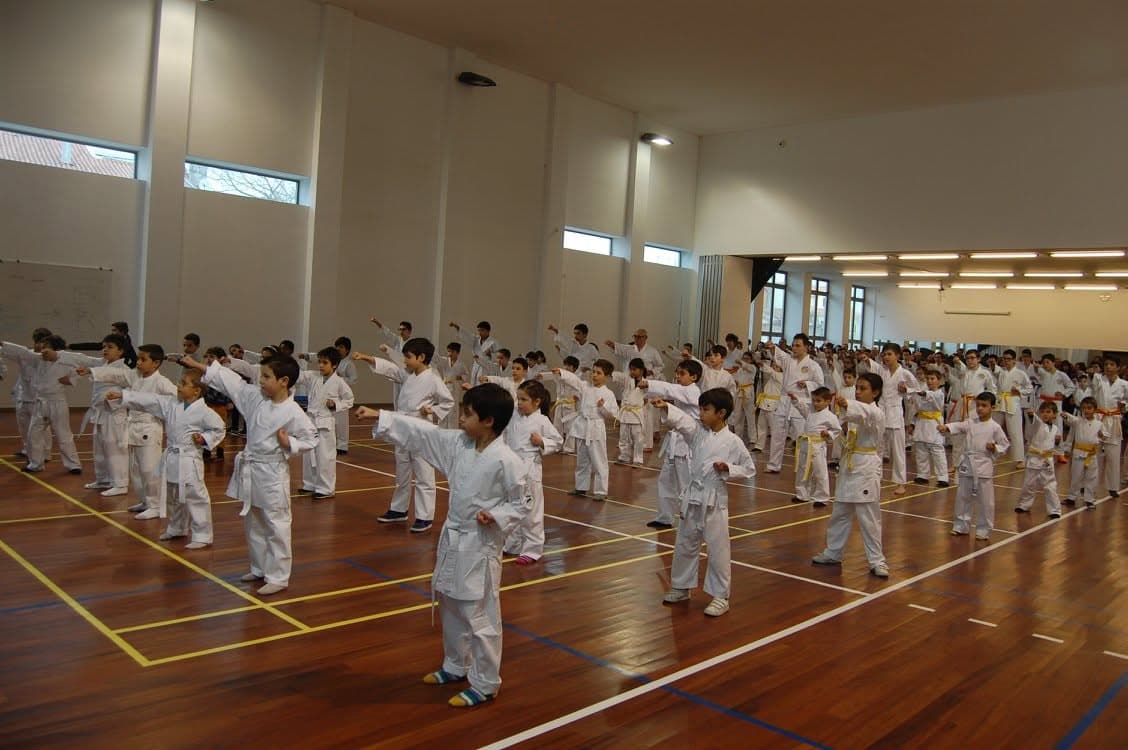 Cover image for José Oliveira